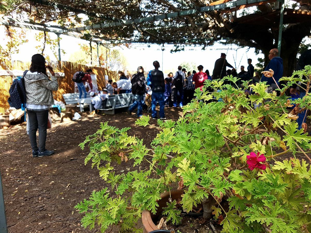 فندق باك تو نايتشر كامبينغ&هتس Mikhmannim المظهر الخارجي الصورة